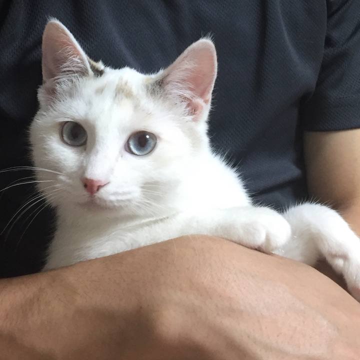 220a6578 2a1c 4fa6 8afa b13de6f47f64