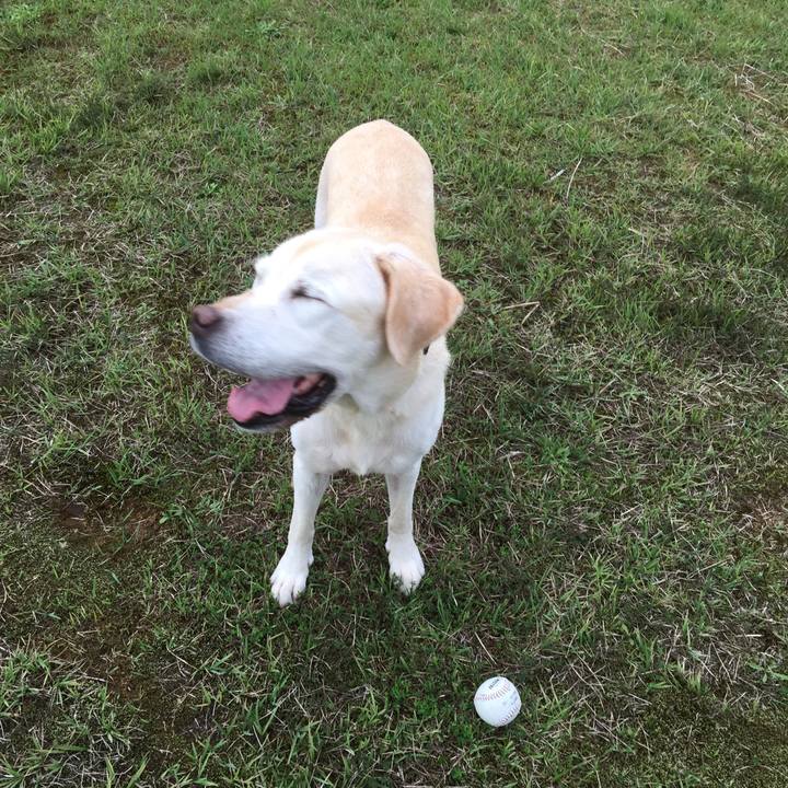 220ac1a9 6de6 48f3 93e7 ff5a16d8d803