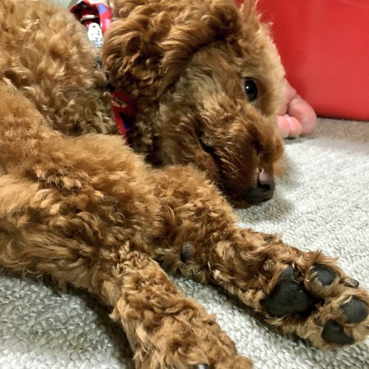 220b1413 9a1c 43b4 b47d b41ac12eda18