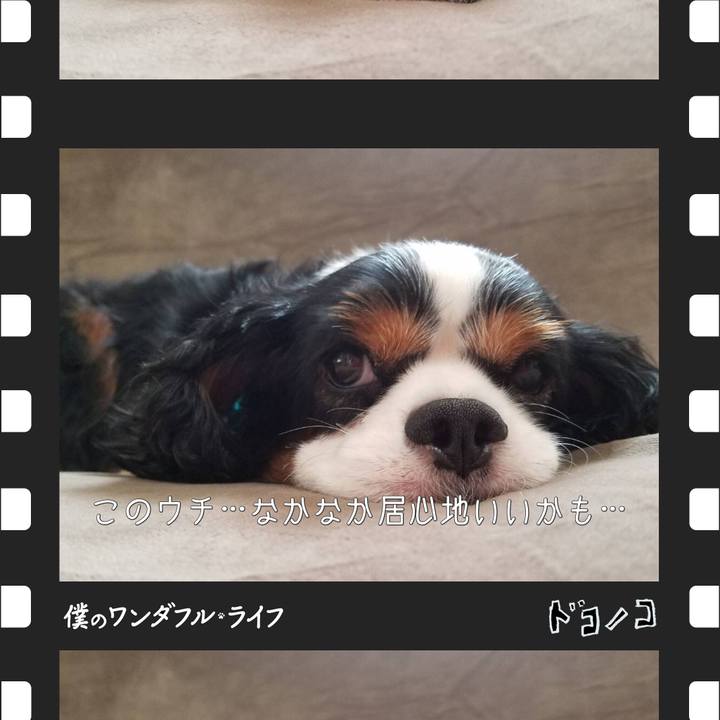 220b378c 8411 40f5 830a aa196ac8a52d