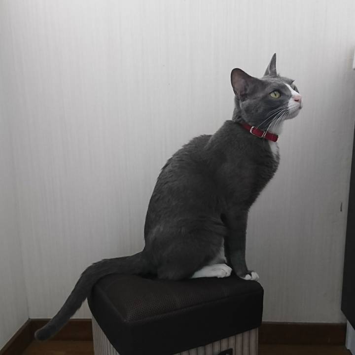 220bbbe4 4f9d 4de4 b4f1 1a7f84c5364c