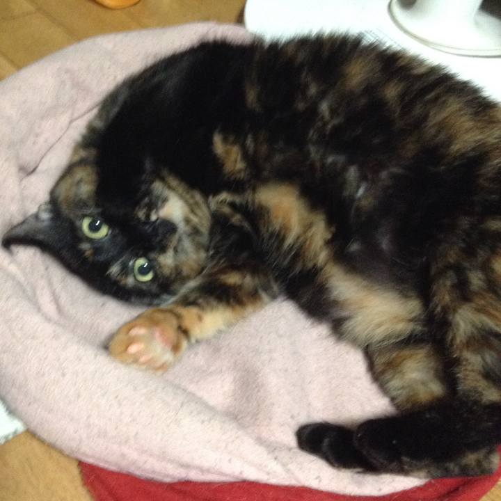 220be53f f5b7 4fc1 818f 56bf41aa37ce