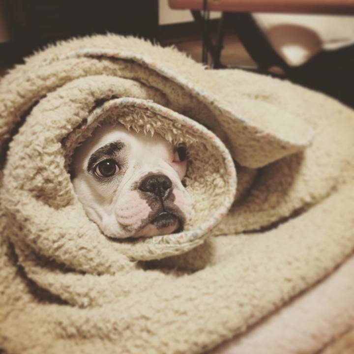 220c642e 54b0 4543 b328 6cfa19799940