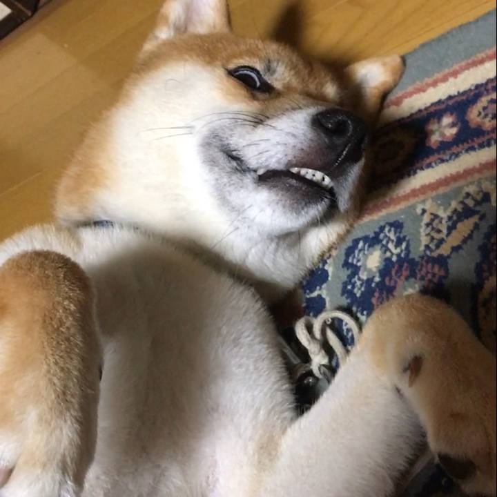 220cbf5f 3850 4efb b0e4 89e11dcedef8