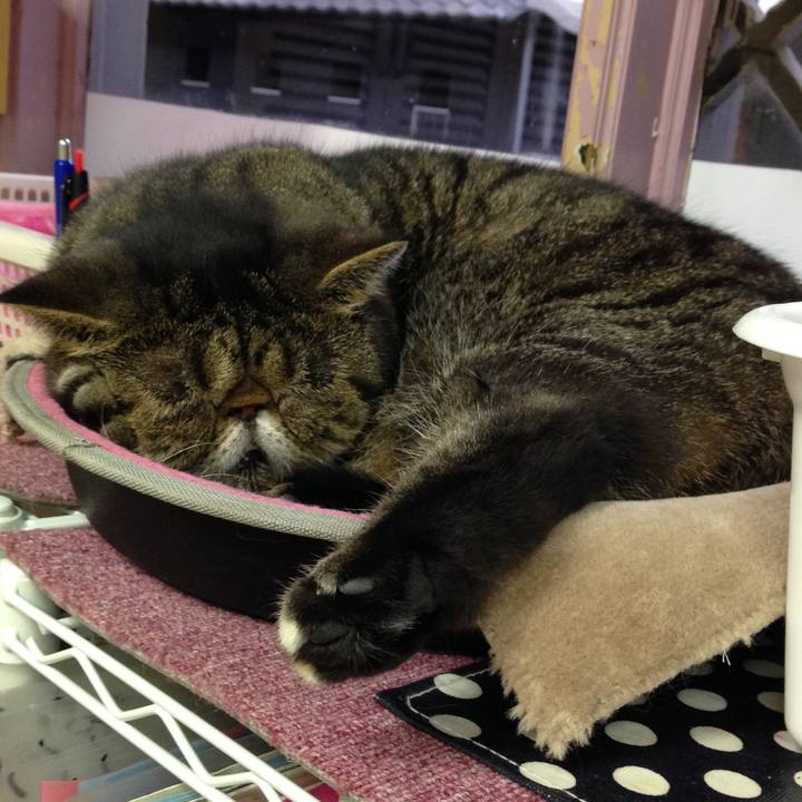 220d162d 2f55 45c9 b253 85101921d35f