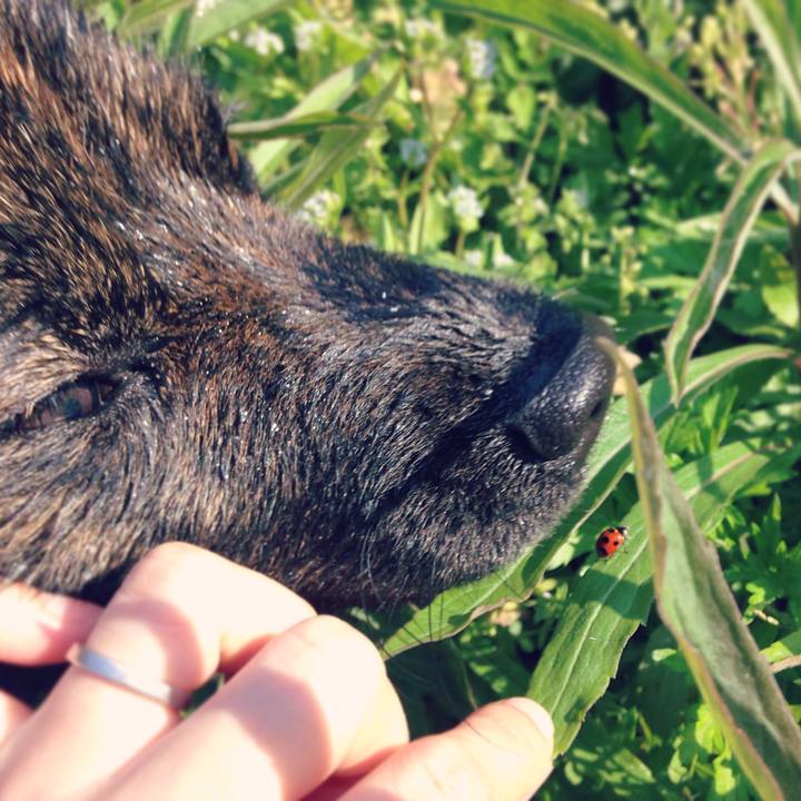 220da18f 1387 4e3f a5a0 11b1aa1432ad