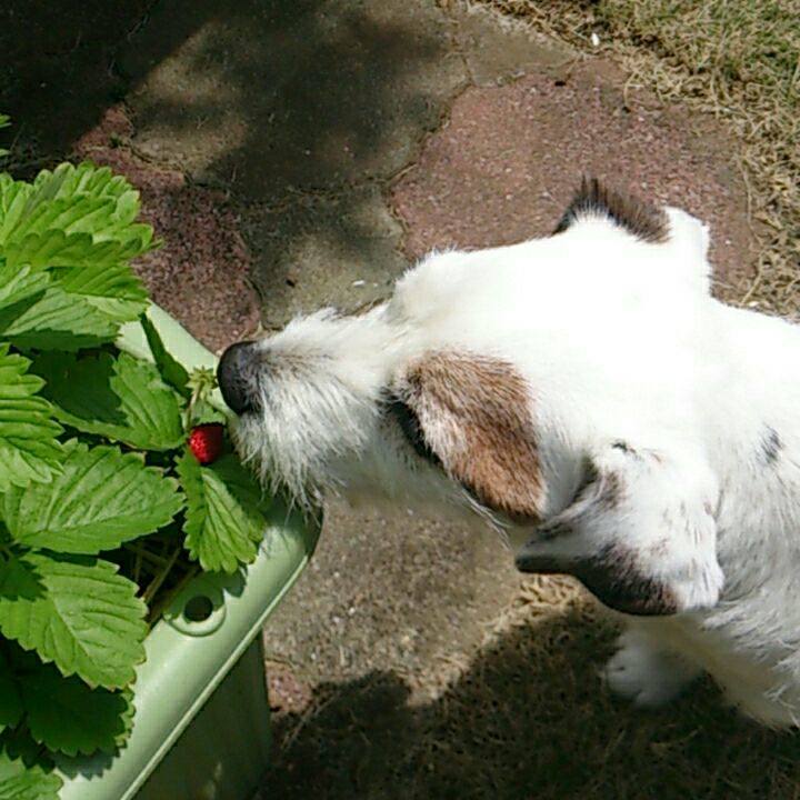 220dd43b 9edf 4f3f beda 6a656d988127