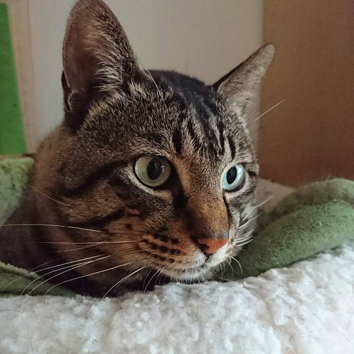 220e0b20 3a44 49e4 873e 15764d065b9a