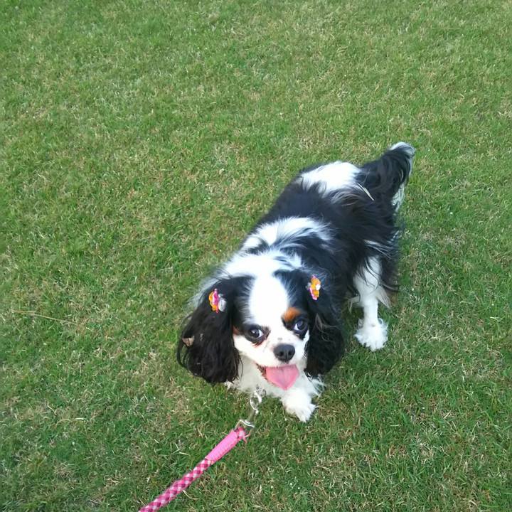 220e60ff 84a9 4d7e 9e75 7a50b05731c9