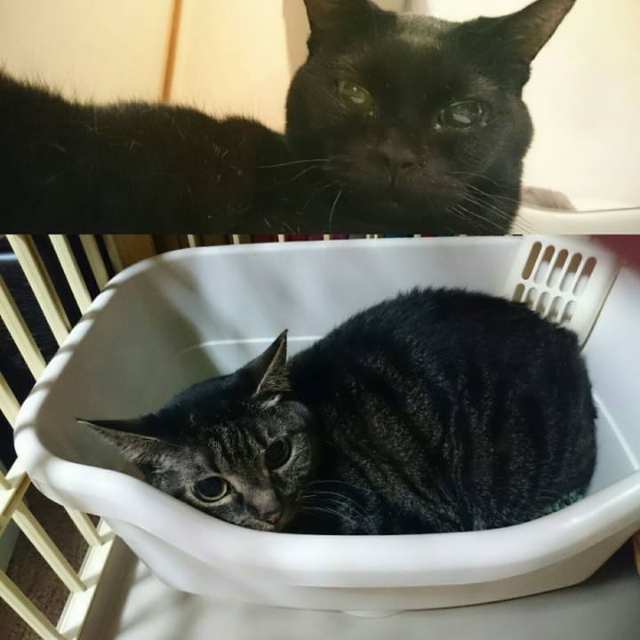 220e7dd2 f7a4 4912 9d7d 1064b863a8bd