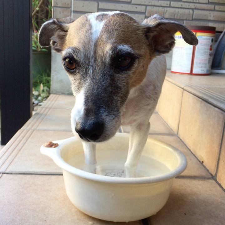 220ea055 e677 4dd1 ad25 805d351013b3