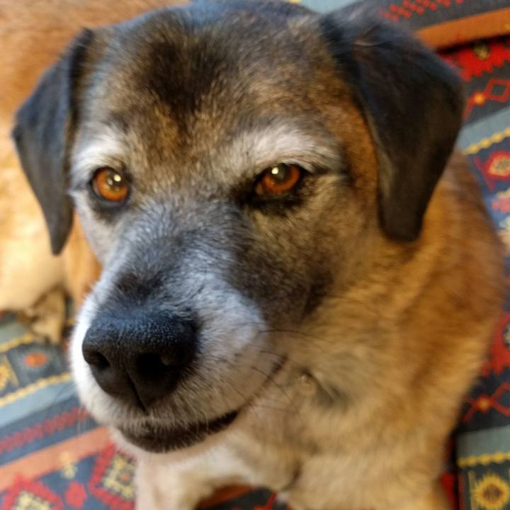 22106d6e 90b3 4449 93c2 3cdaa7d87f80