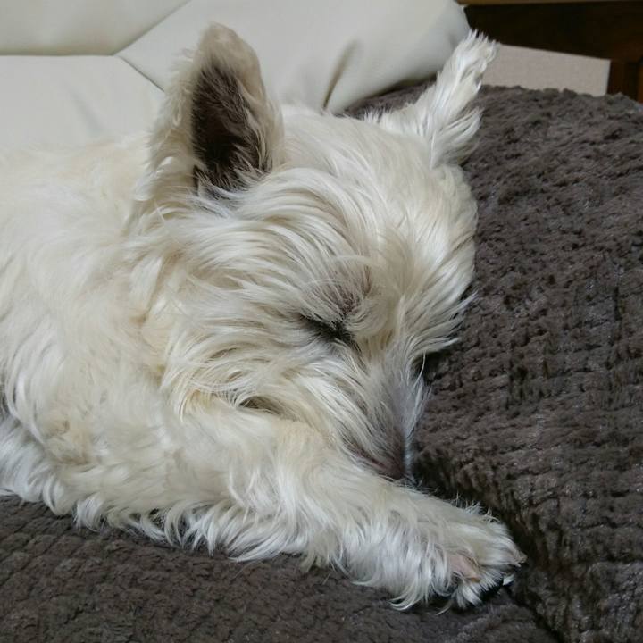 22108bd5 9ab7 4890 9350 4e5f1058b1f8