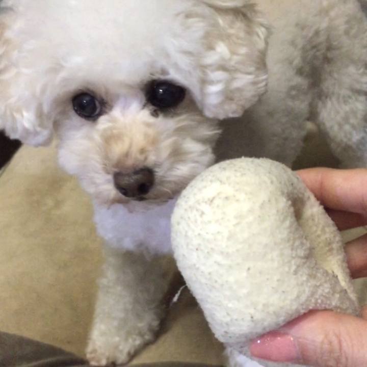 2210946e 4e63 4e7f b266 474edc8f4c34