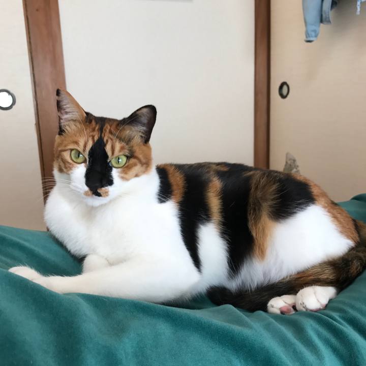 2210e5f4 4e41 4150 b579 e2ef1ed21b54