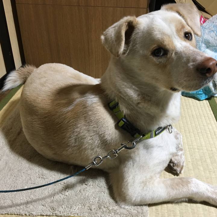 22112eb9 0373 4237 969a 1b8750bda874