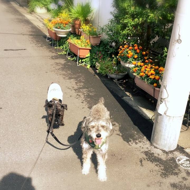 2211546b e2b3 4e1b aa5a 3491250fbf27