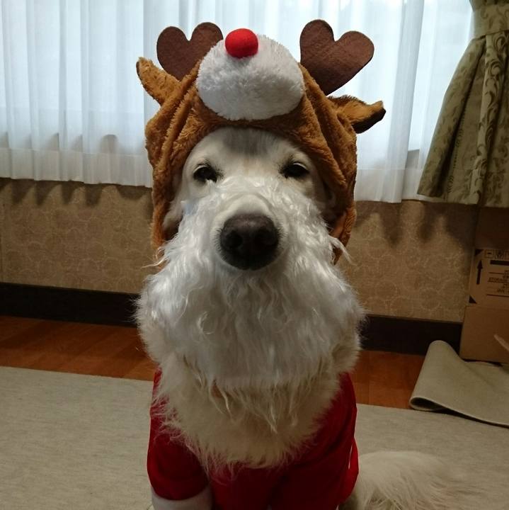 22122a59 96ef 4c3d 8161 9a760e43de99