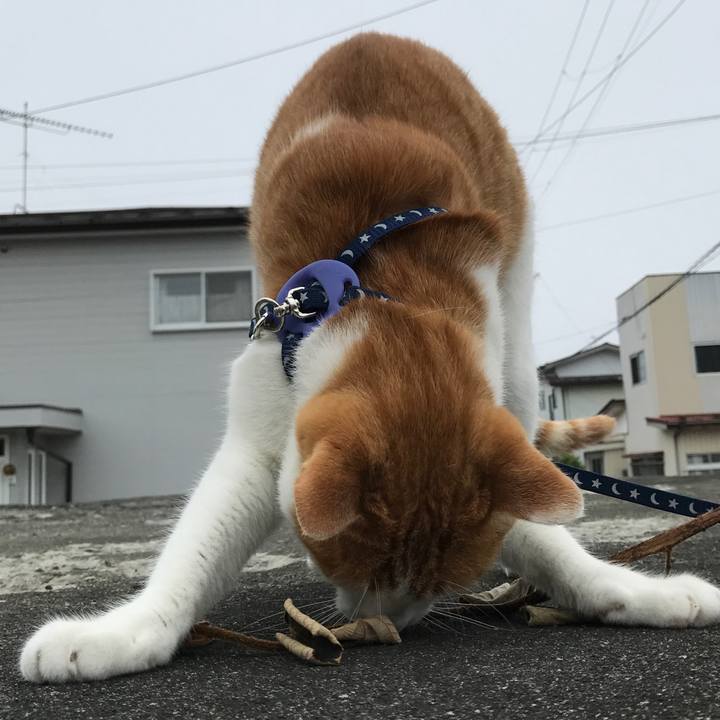 2212827d e9ae 4a96 8d16 41aeabc1d0d4