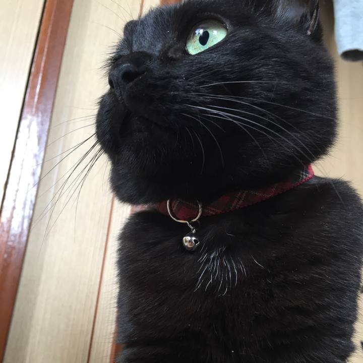 2212f26a e3d2 4733 9b4f db6673da758b