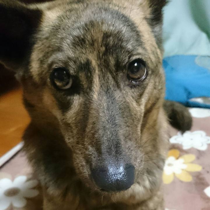 22146595 59b6 4477 b42a aedf337c1675