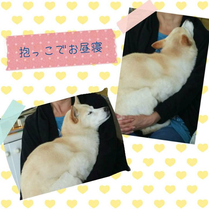 22147af6 47b2 4eaf a16d 132aa189ad46