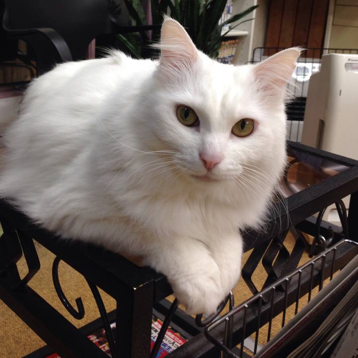 2214f65a 3173 4e31 8e02 54898588350c