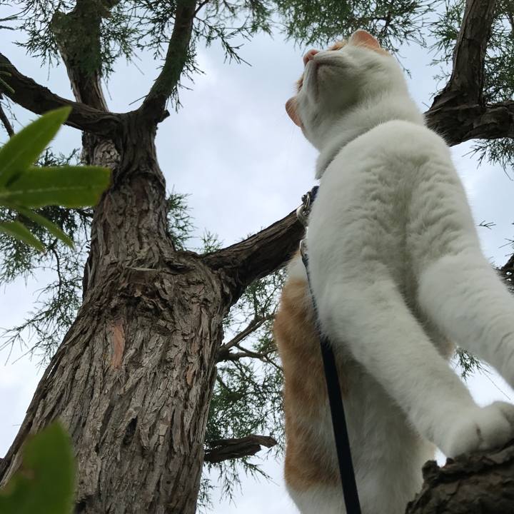 22158d6e 7be1 4d0e bc07 781327417eae