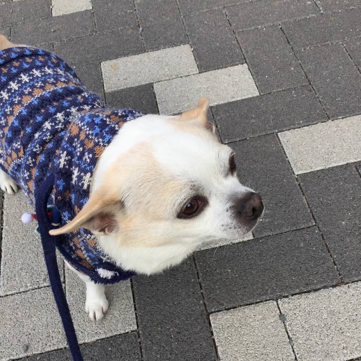 2215dbb2 8496 4b67 ae4e 5f50dc83b658