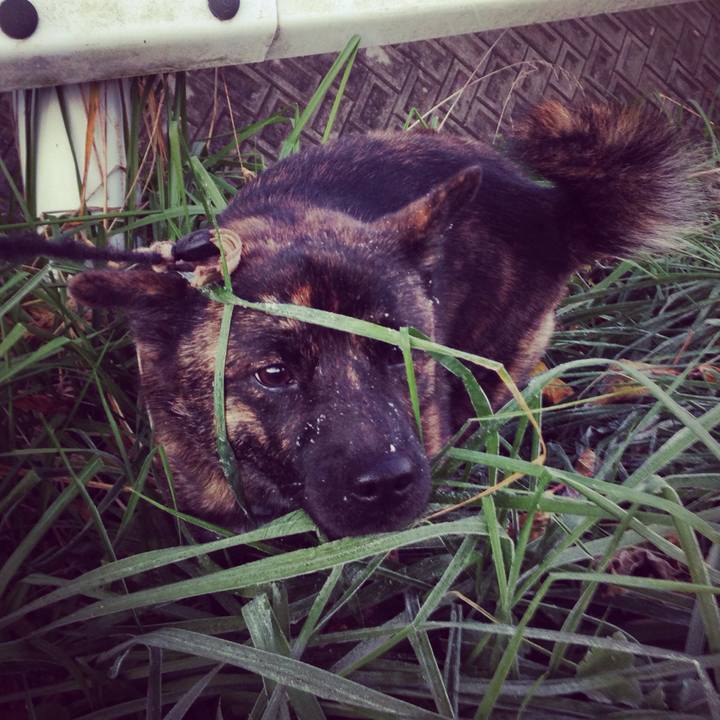 22165741 e0ae 49eb abc9 7be573119ee5