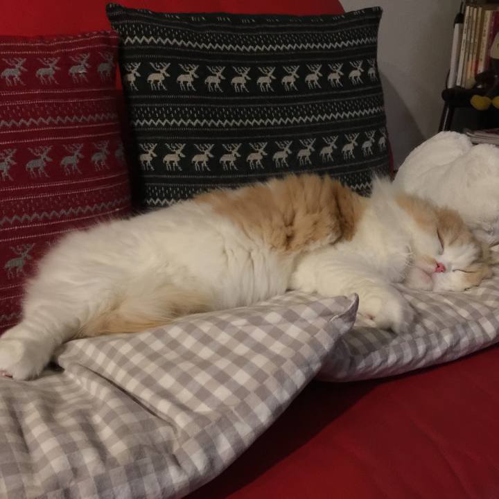 22165bbb f20c 4e73 b74b 6d464bf3ce04