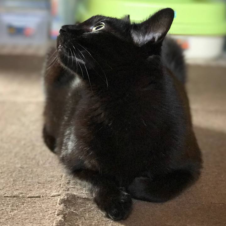 22168b6b 63ae 46ca bcdf 67d238541913