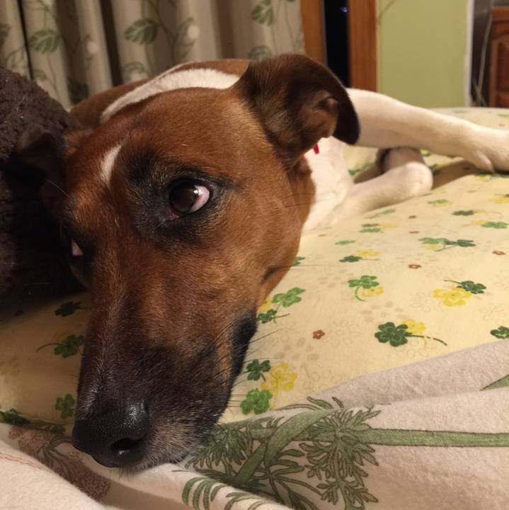 2217432d 78ca 404a b729 0b4181314b80