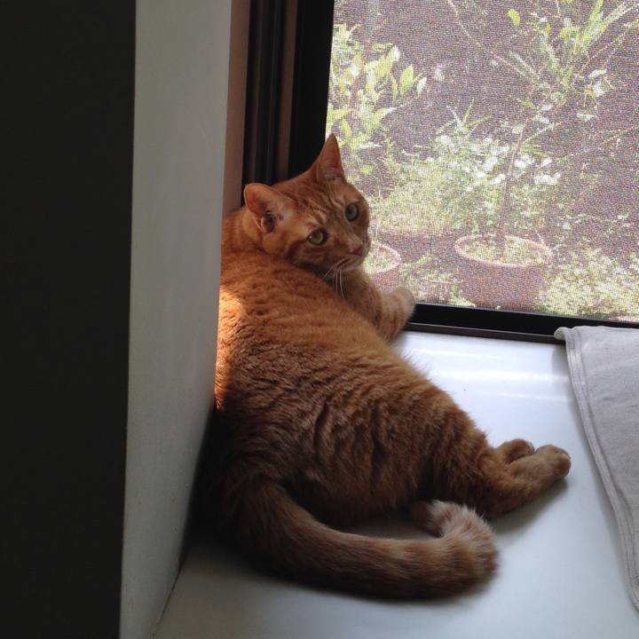 2217b3cf 2e9c 4ee1 a061 a237db11f70c