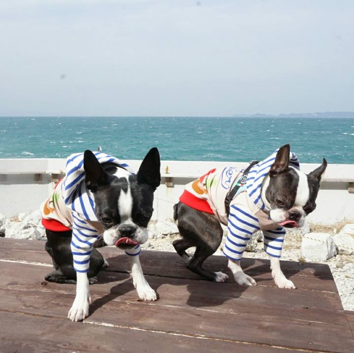 2218b04e 45c4 4d98 9a11 cca22ae15c84