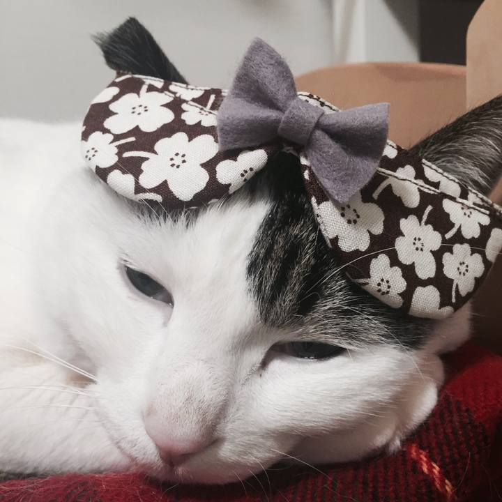 22196973 984a 4fbf bfc6 8f13eb18caf9