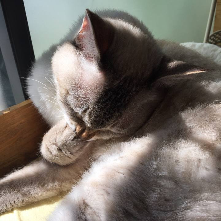 2219b2b6 0427 4dee b28b 7b78db2ae845