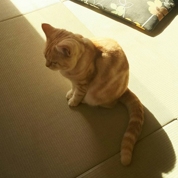 221a458b c1a1 4a4c b06b 09558d749842