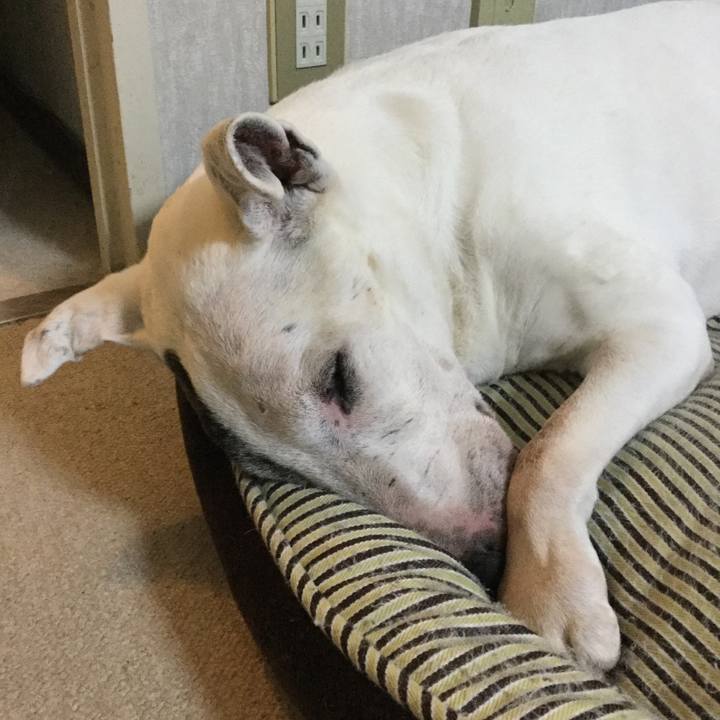 221b9eb4 3bf6 4513 bfde e32edc1077de