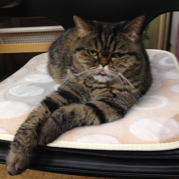 221ba127 8cde 48ed 824a f6fd15a5d0c3