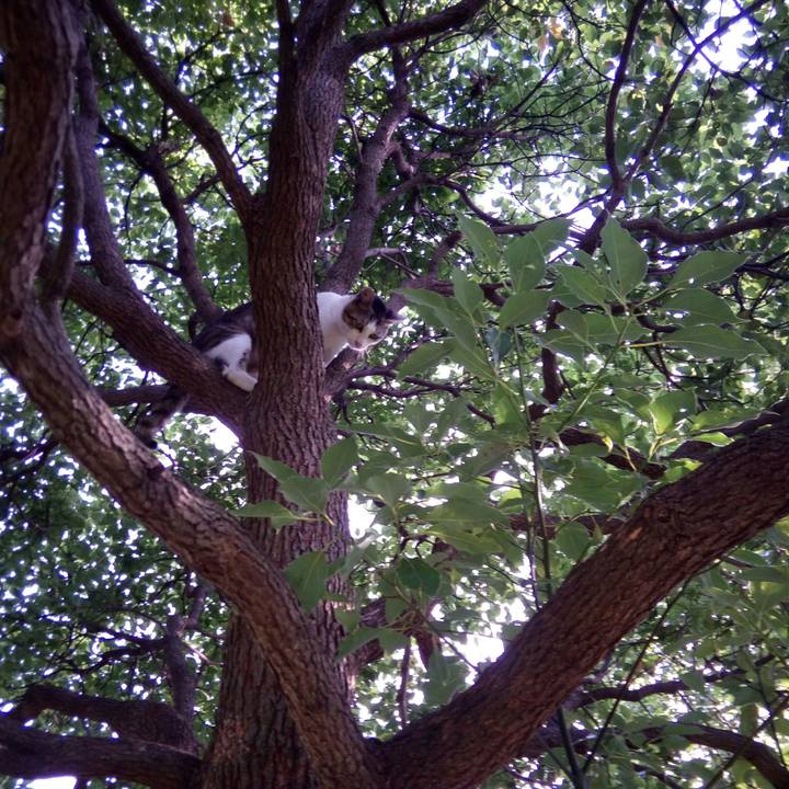 221d4115 f16f 4ba1 94c8 3b955c26109a