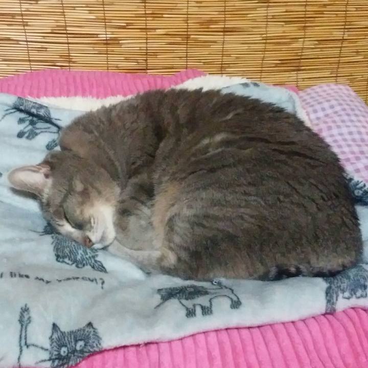 221d587c d02b 4da7 828a 938e06eed0ec