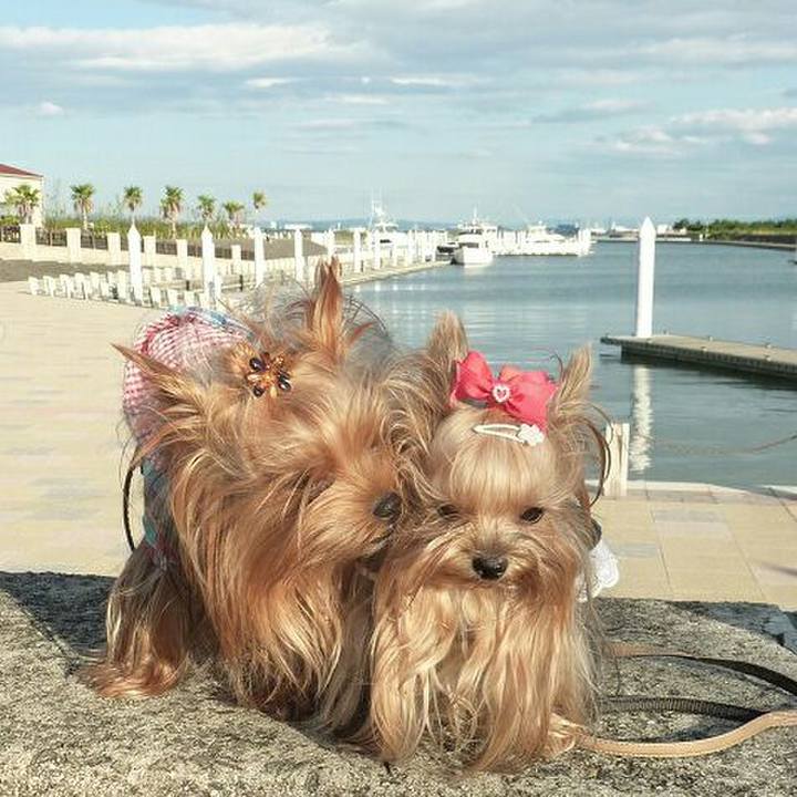 221e025f b4d8 4be7 9ee4 950ee11bc0e6