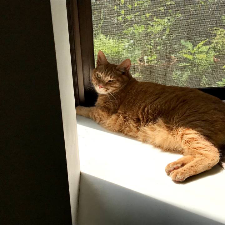 221e3c64 2e7f 425e a555 14a711c9210a