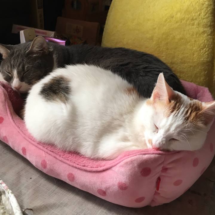 221fb08f 40d4 42c6 9ceb 89cf7146cea1