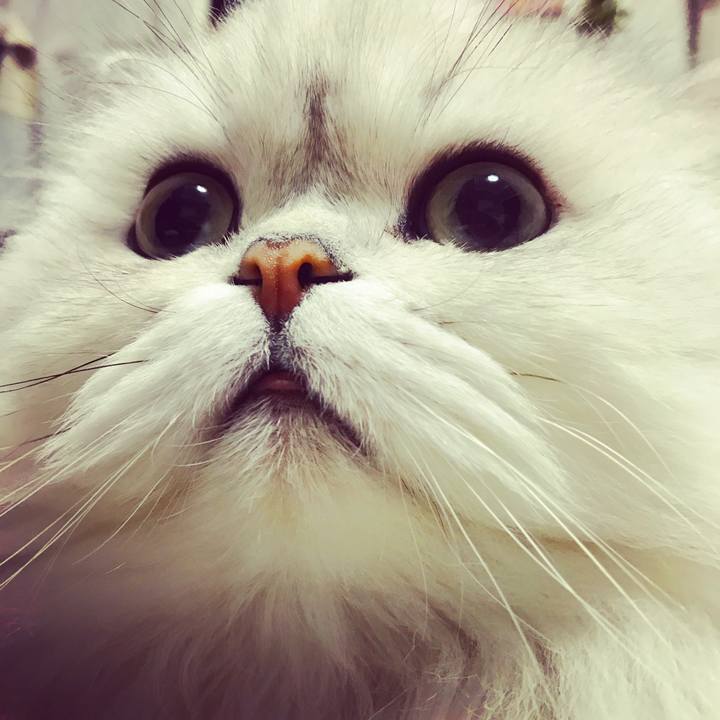 22207188 860e 40bb 9ffa 84d023ef5a0b