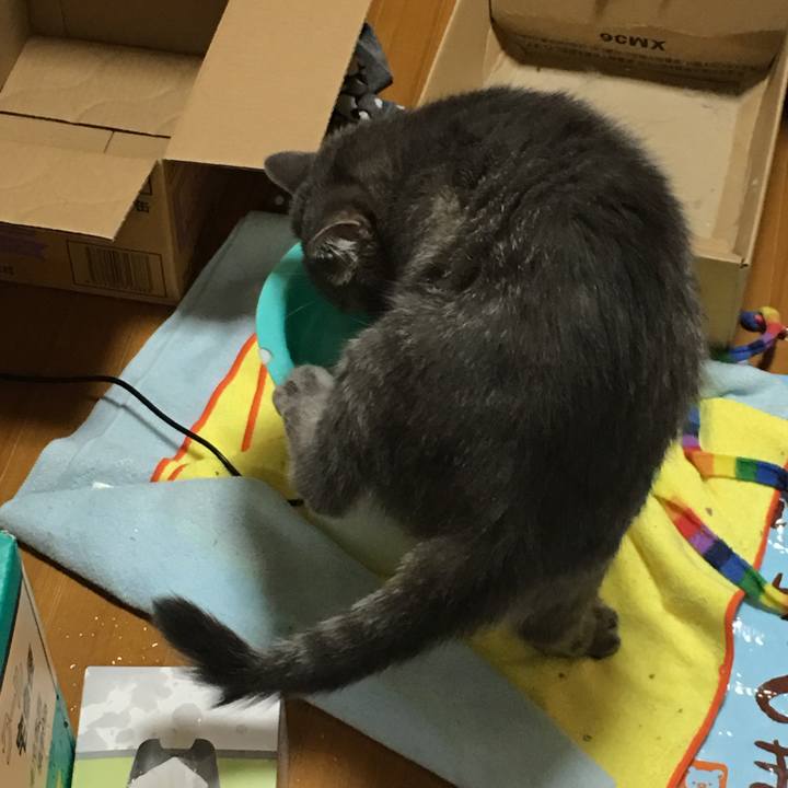 22208cc5 ba85 42d7 8c46 cf308a224ea7