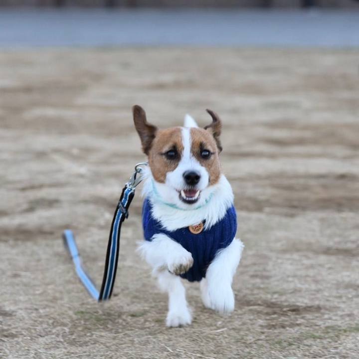 22209483 fee5 4410 881c d5aa2b49a2d9