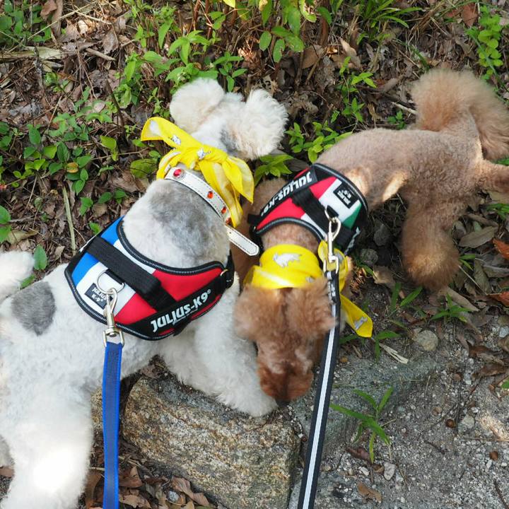 2220d308 49b8 426d a949 19689d71e3ad