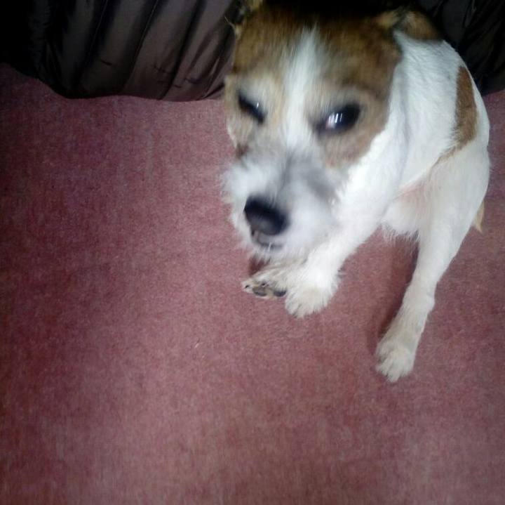 22211704 25c0 4665 bd70 90ad36188b0e